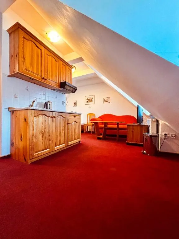 Double room — kitchenette · photo 26