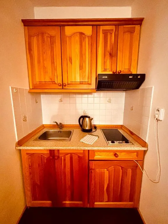 Double room — kitchenette · photo 31