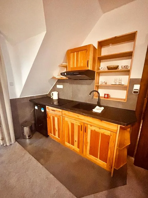 Studio LUX — kitchenette · photo 8