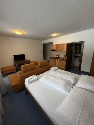 Štúdio LUX v Penzióne SIMI (8)