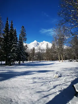 Vysoké Tatry v okolí penziónu (9)