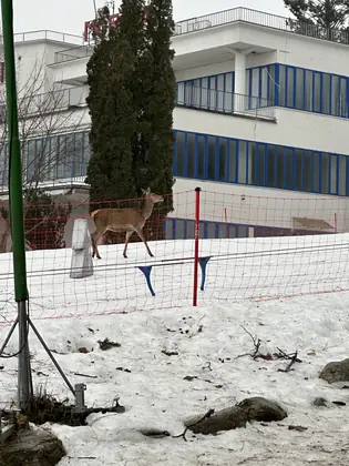 Vysoké Tatry v okolí penziónu (28)
